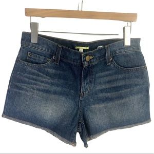 NWT Gianni Bini Shorts